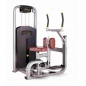 - Bronze Gym MV-011 C