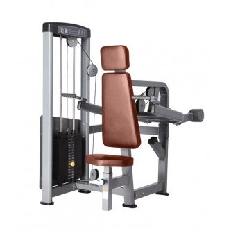 - Bronze Gym D-007