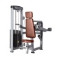- Bronze Gym D-007