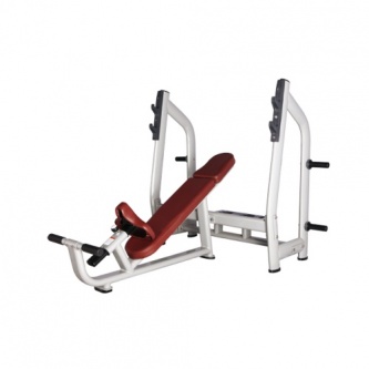     Bronze Gym H-25