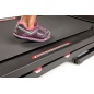    PRO-FORM Performance1050
