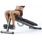    Weider 255L